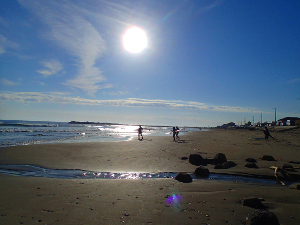 2013.11.24C.jpg