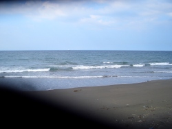 CIMG8679.JPG