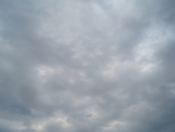 CIMG8882.JPG