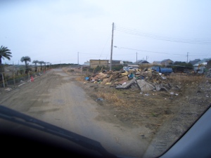 CIMG8979.JPG