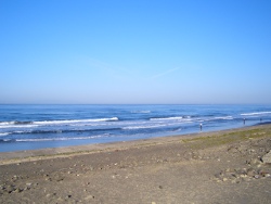 CIMG9040.JPG