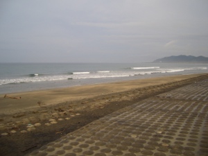 CIMG9202.JPG