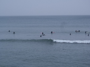 P1010011 (2).JPG