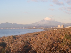 P1010037 (2).JPG
