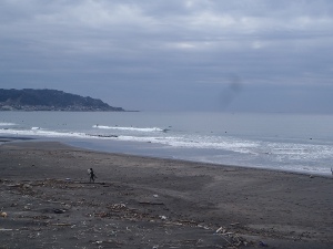 P1010092.JPG