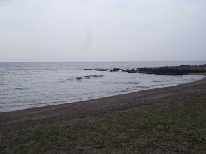 P1010139.JPG