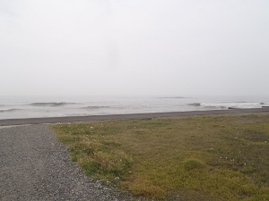P1010146.JPG