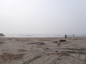 P1010166.JPG