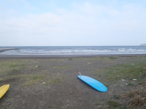 P1010203.JPG