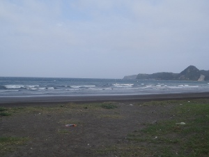 P1010204.JPG
