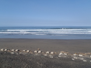 P1010207.JPG