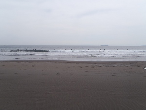 P1010255.JPG