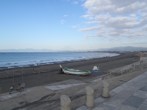 P1010271.JPG
