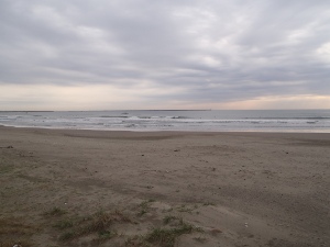 P1010308.JPG