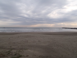 P1010309.JPG