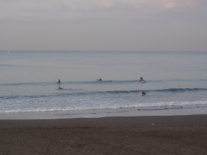 P1010317.JPG