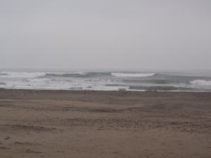P1010323.JPG
