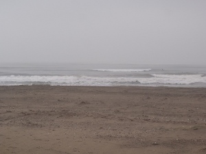 P1010324.JPG