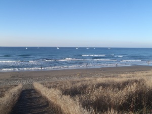 P1010328.JPG