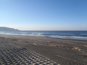P1010329.JPG