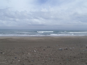 P1010540.JPG