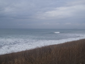 P1010595.JPG