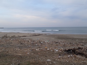 P1010635.JPG