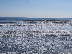 P1010736.JPG