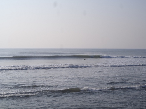 P1010835.JPG