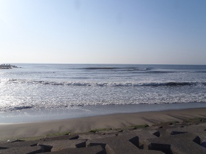P1010838.JPG