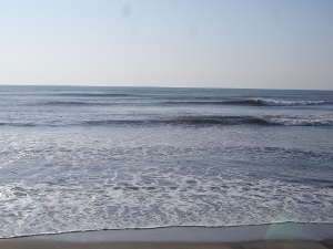 P1010839.JPG