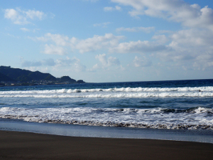 P9300320.jpg