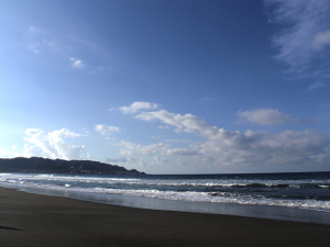 P9300321.jpg