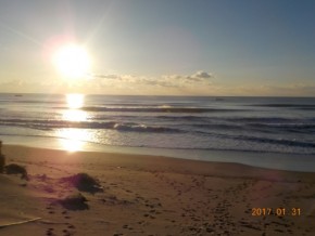DSCN0373